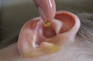olive-oil-home-remedy-for-itchy-ears