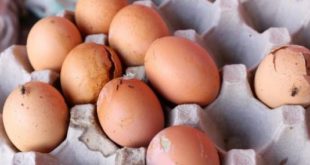 Sulfur farts and burps smell like rotten eggs