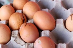 Sulfur farts and burps smell like rotten eggs