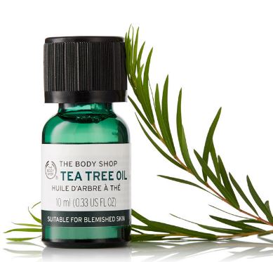Tea tree oil home remedies for dandruff